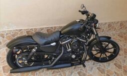 2019 Harley-Davidson Iron 883 (XL883N)