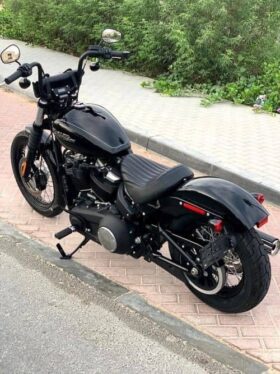 2020 Harley-Davidson Street Bob 107 (FXBB)